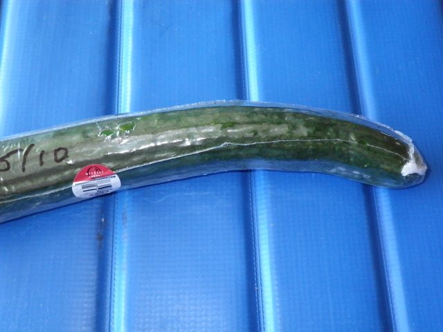 cellophane wrapped English cucumber